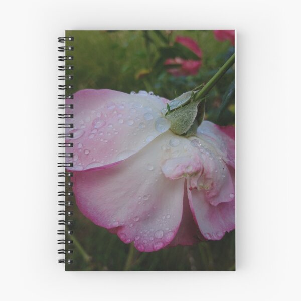 Item preview, Pink Rose Petals with Raindrops Moody Botanical designed and sold by Nature Moments.