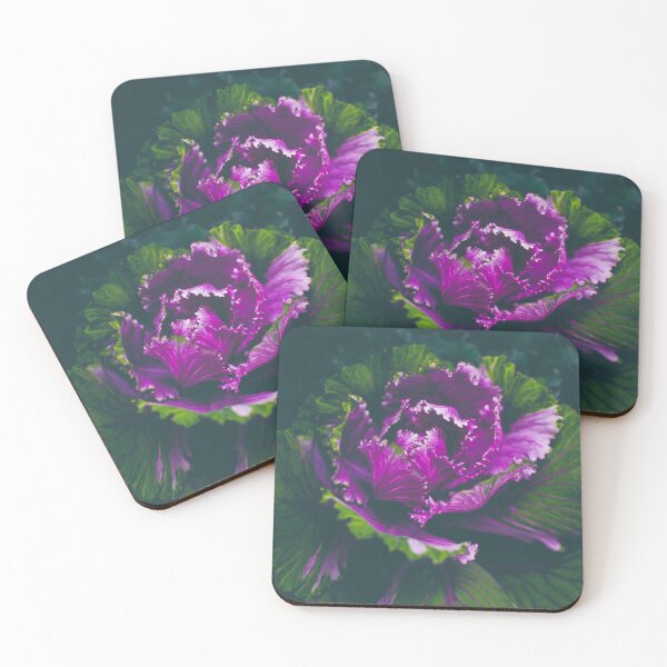 Item preview, Magenta Heart of an Ornamental Cabbage designed and sold by Canvix.