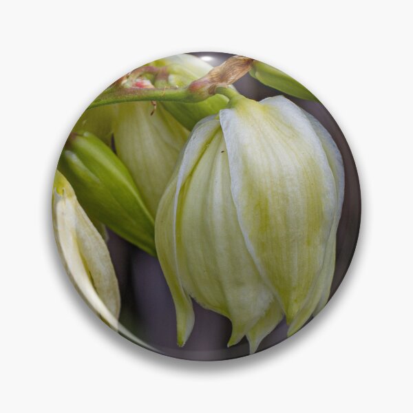 Item preview, Flowers Fading Grace designed and sold by Twisted Light Images.