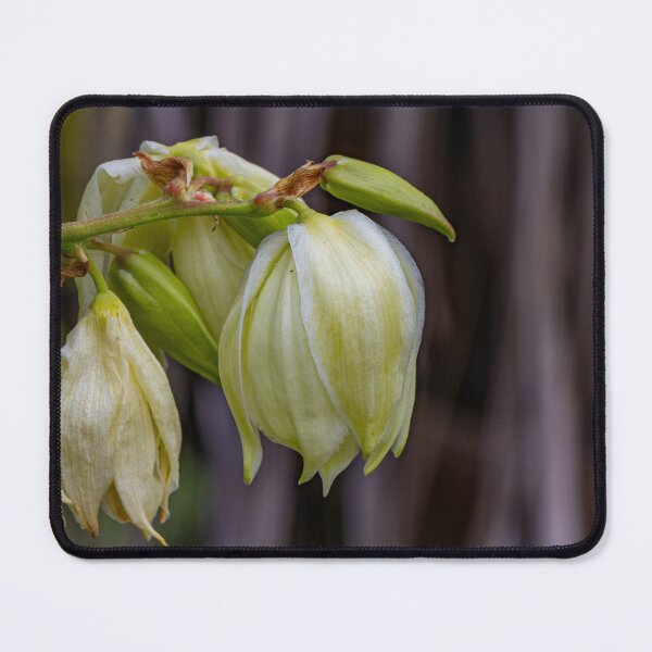 Item preview, Flowers Fading Grace designed and sold by Twisted Light Images.