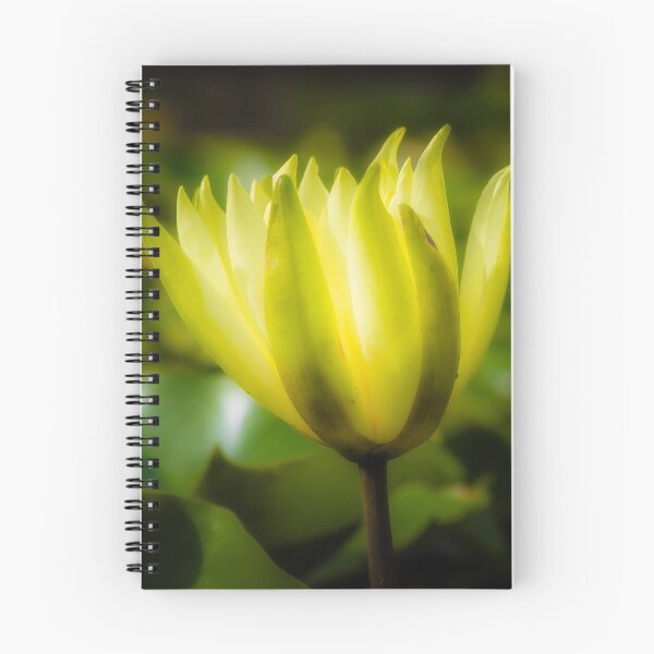 Item preview, Golden Water Lily in Stillness designed and sold by Twisted Light Images.