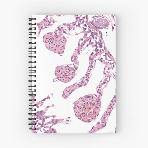 Item preview, Histology art : fish gills designed and sold by Aquaglobal Vet.