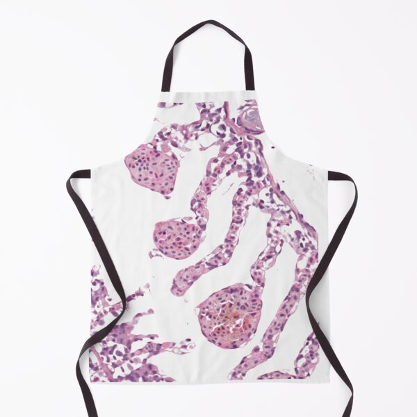 Item preview, Histology art : fish gills designed and sold by Aquaglobal Vet.