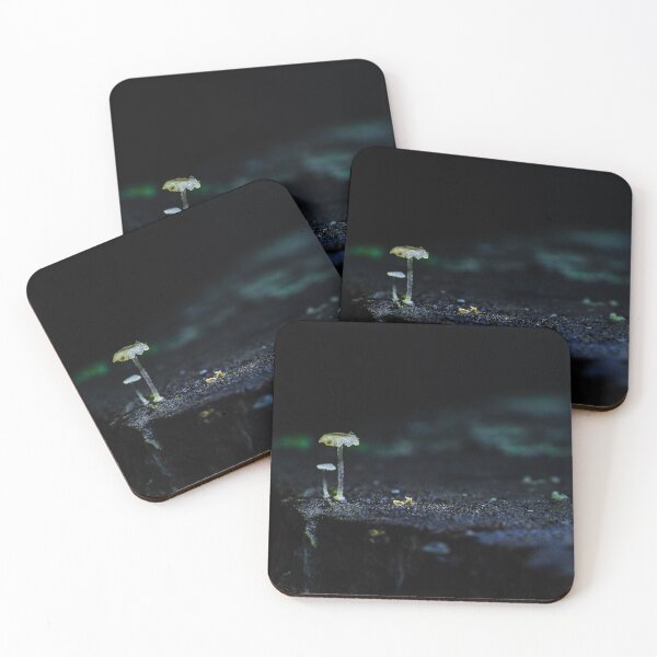 Item preview, Quiet Toadstool Glow designed and sold by Twisted Light Images.