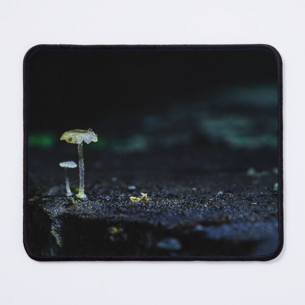 Item preview, Quiet Toadstool Glow designed and sold by Twisted Light Images.