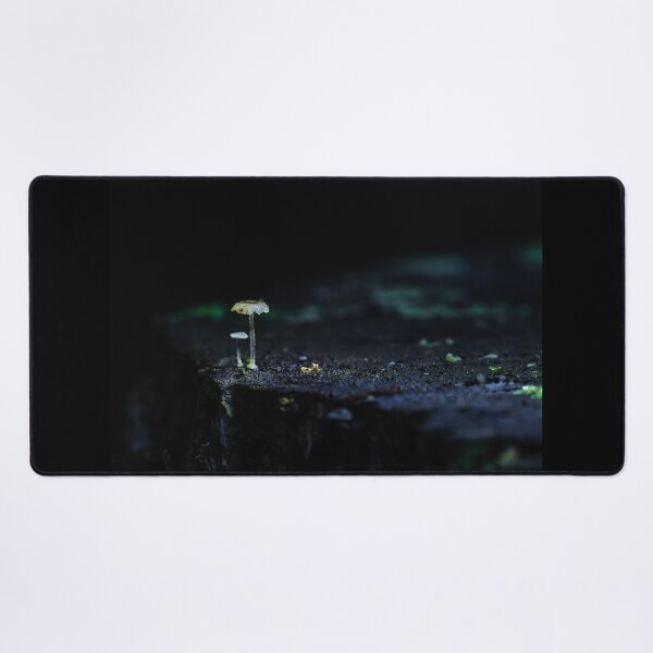 Item preview, Quiet Toadstool Glow designed and sold by Twisted Light Images.
