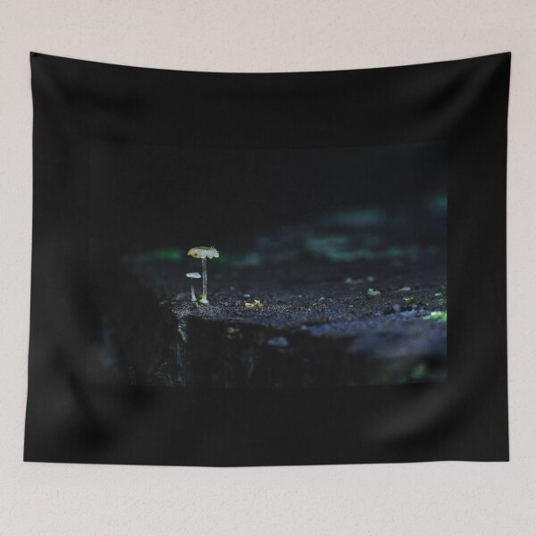 Item preview, Quiet Toadstool Glow designed and sold by Twisted Light Images.