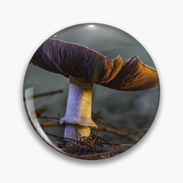 Item preview, Forest Floor Mushroom designed and sold by Twisted Light Images.