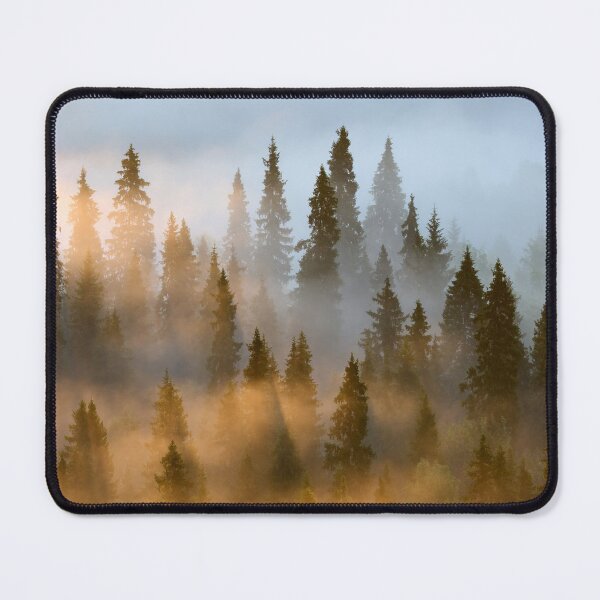 Item preview, Forest and the river. Early Morning at Pahkanakallio 30 designed and sold by Jouko Lehto Photography.