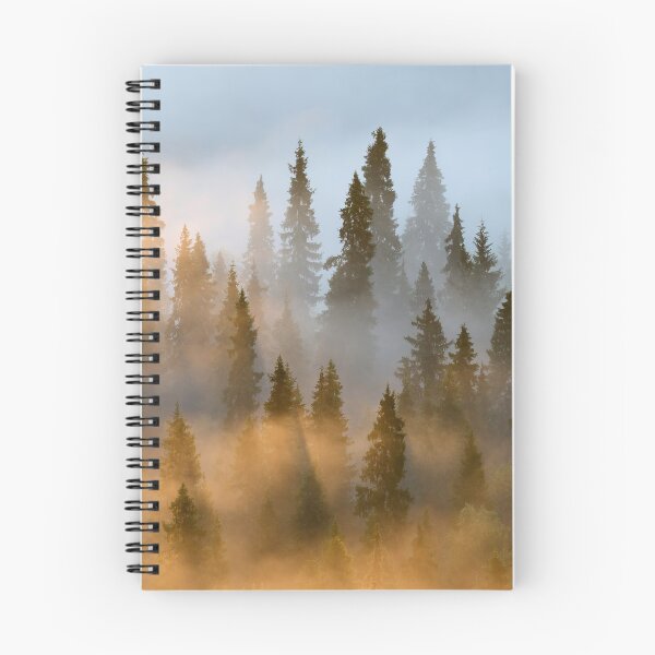 Item preview, Forest and the river. Early Morning at Pahkanakallio 30 designed and sold by Jouko Lehto Photography.