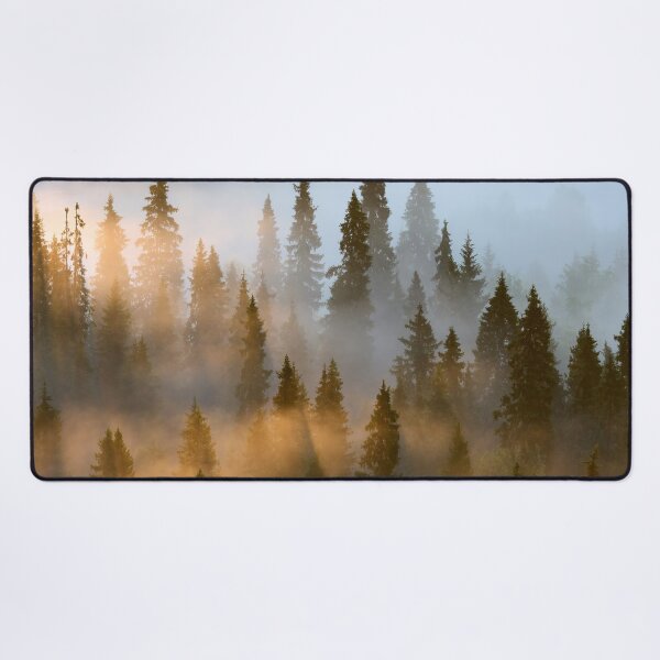 Item preview, Forest and the river. Early Morning at Pahkanakallio 30 designed and sold by Jouko Lehto Photography.