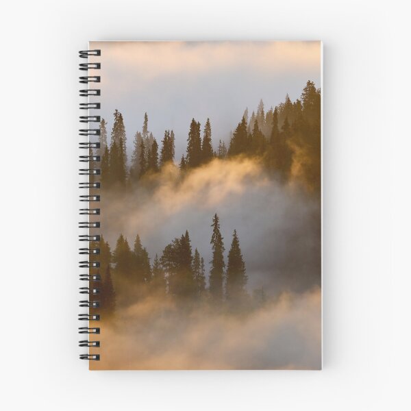 Item preview, Forest and the river. Early Morning at Pahkanakallio 31 designed and sold by Jouko Lehto Photography.
