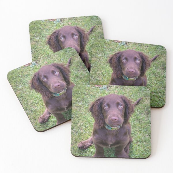 Item preview, Sitting Spaniel designed and sold by JEZ22.