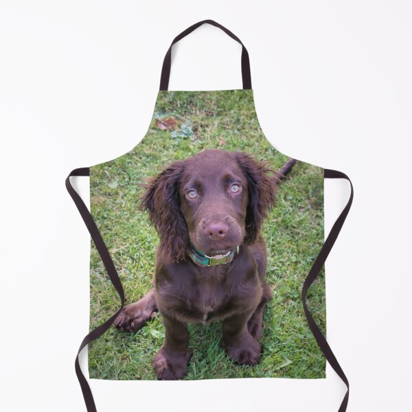 Item preview, Sitting Spaniel designed and sold by JEZ22.