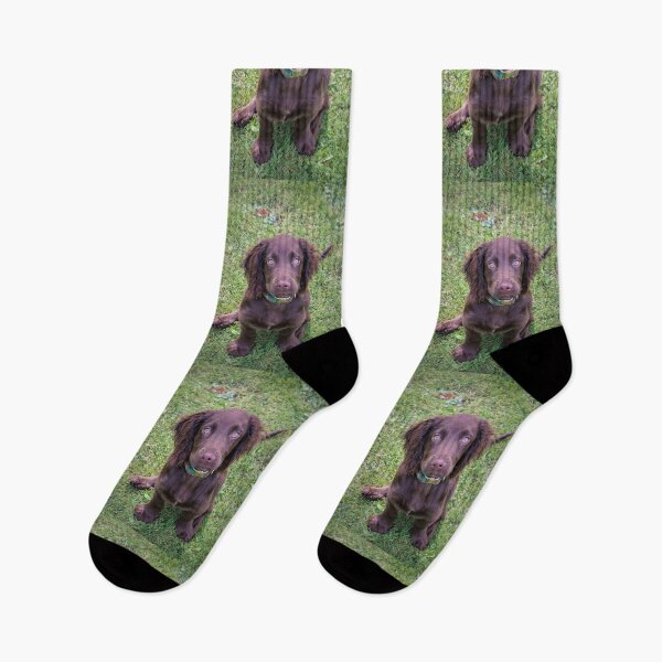 Item preview, Sitting Spaniel designed and sold by JEZ22.