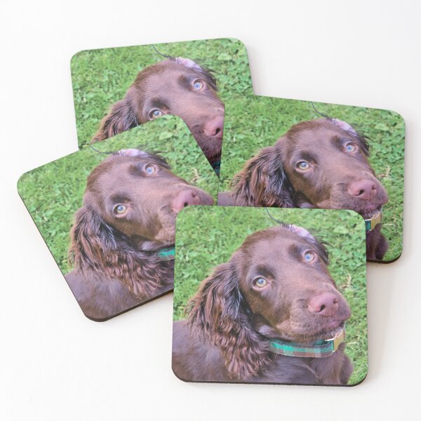 Item preview, Spaniel Puppy Portrait designed and sold by JEZ22.