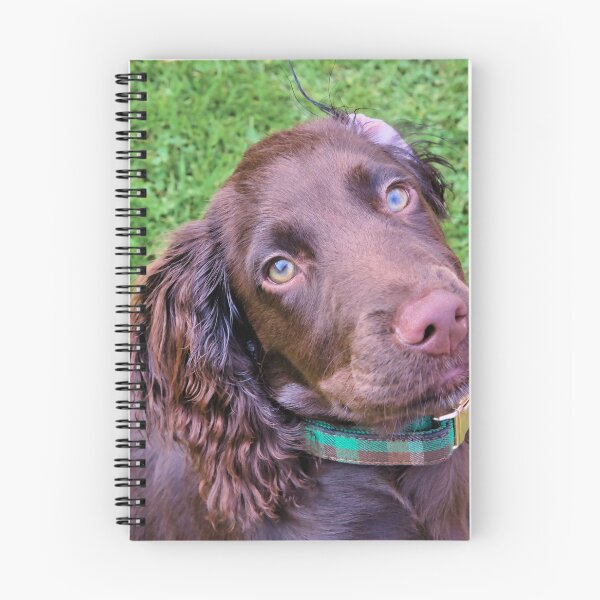 Item preview, Spaniel Puppy Portrait designed and sold by JEZ22.