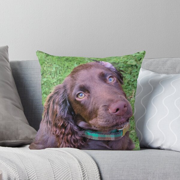 Item preview, Spaniel Puppy Portrait designed and sold by JEZ22.