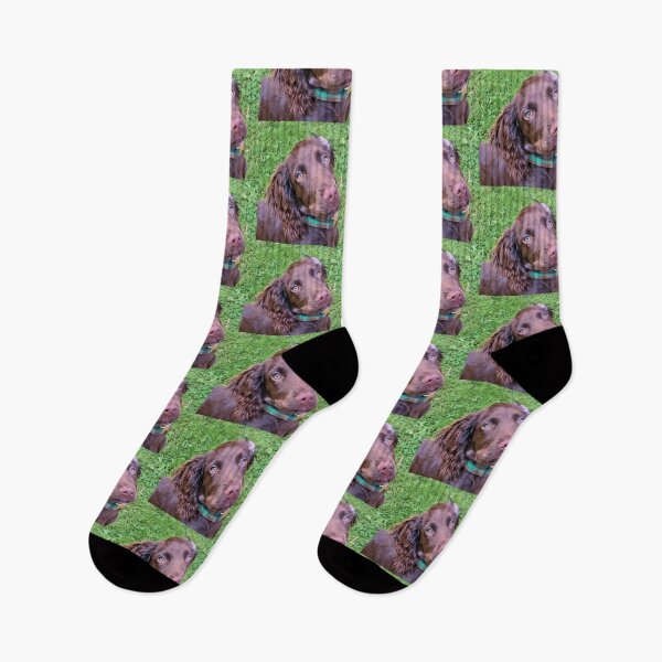 Item preview, Spaniel Puppy Portrait designed and sold by JEZ22.