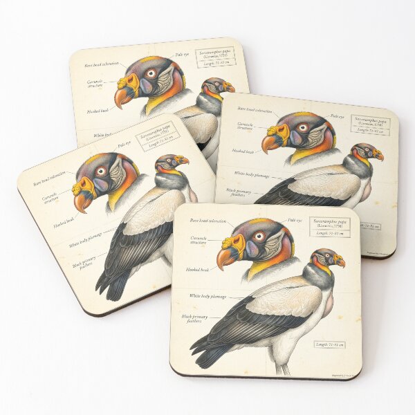Item preview, Exotic Beautiful Birds - king vulture #3 designed and sold by Helios Be. Lavsh.