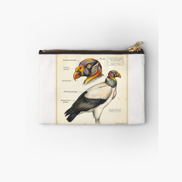Item preview, Exotic Beautiful Birds - king vulture #3 designed and sold by Helios Be. Lavsh.