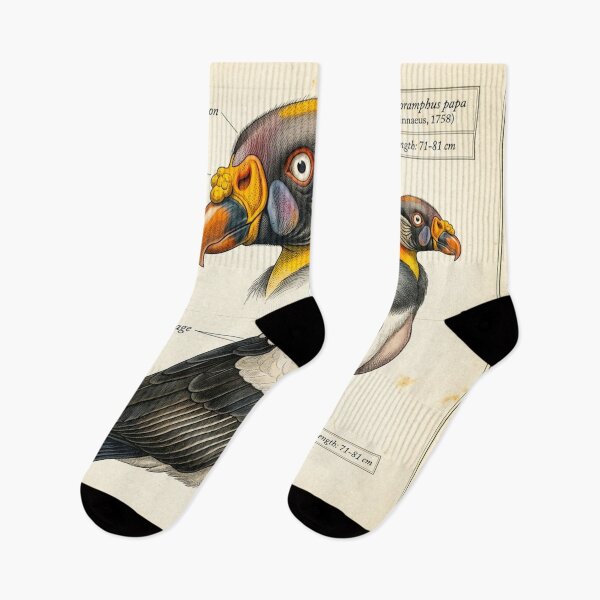 Item preview, Exotic Beautiful Birds - king vulture #3 designed and sold by Helios Be. Lavsh.