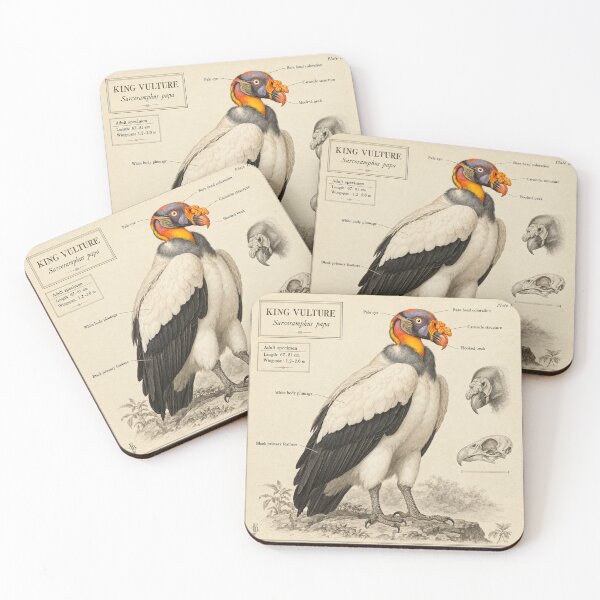 Item preview, Exotic Beautiful Birds - king vulture #4 designed and sold by Helios Be. Lavsh.