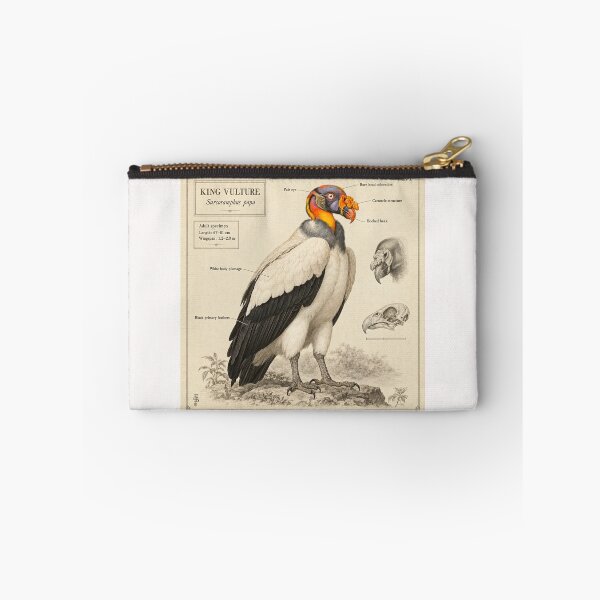 Item preview, Exotic Beautiful Birds - king vulture #4 designed and sold by Helios Be. Lavsh.