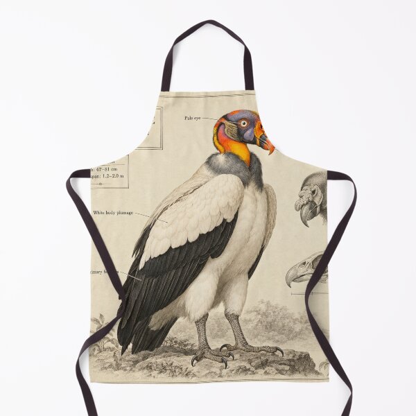 Item preview, Exotic Beautiful Birds - king vulture #4 designed and sold by Helios Be. Lavsh.