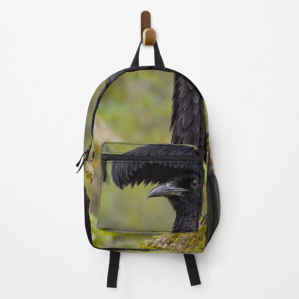 Item preview, Exotic Beautiful Birds - Long-wattled Umbrella Bird #5 designed and sold by Helios Be. Lavsh.