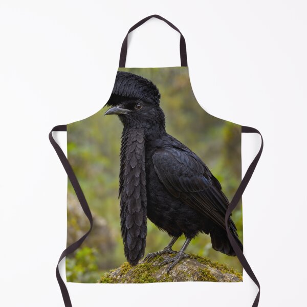 Item preview, Exotic Beautiful Birds - Long-wattled Umbrella Bird #5 designed and sold by Helios Be. Lavsh.