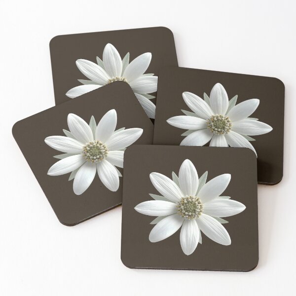 Item preview, Minimalist Espresso Brown Daisy Flower Floral Pattern designed and sold by ​Jyoti Digital Artist.
