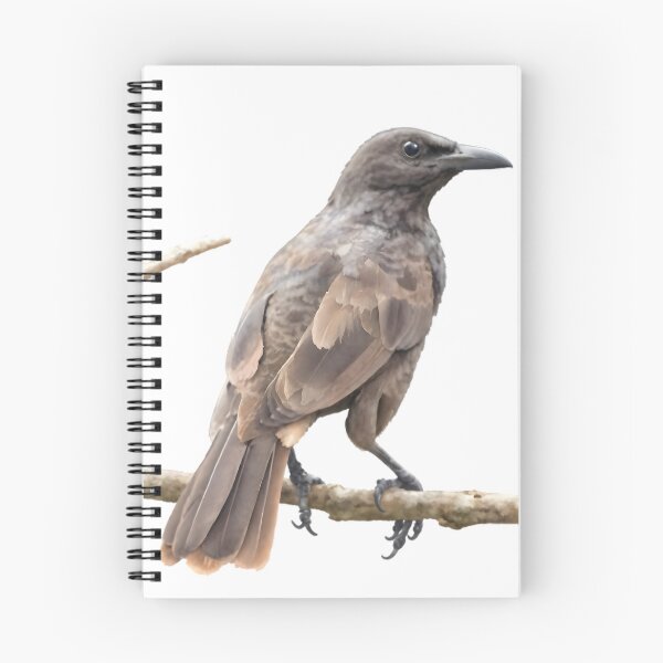 Item preview, Samoan Starling (Aplonis atrifusca)  designed and sold by HOMETOWN86.
