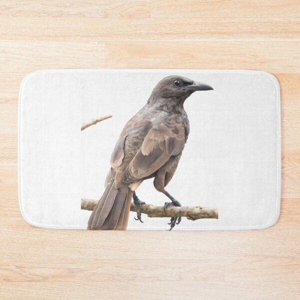 Item preview, Samoan Starling (Aplonis atrifusca)  designed and sold by HOMETOWN86.