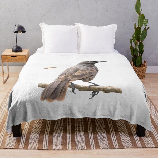 Item preview, Samoan Starling (Aplonis atrifusca) designed and sold by HOMETOWN86.