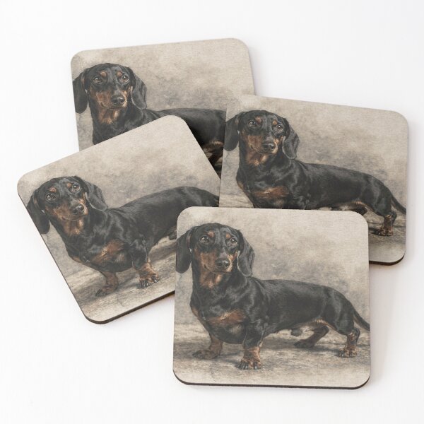 Artikelvorschau, Black and Tan Dachshund Portrait on Warm Gray entworfen und verkauft von Carnival Studio.
