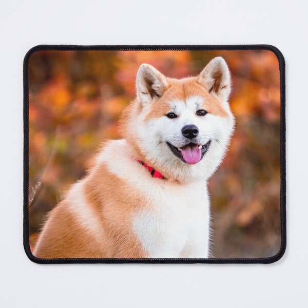 Item preview, Smiling Japanese Akita Dog with a Red Collar designed and sold by VanGaldo.