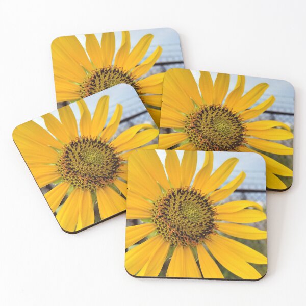 Item preview, Sunflower and Barbed Wire designed and sold by concretebotany.