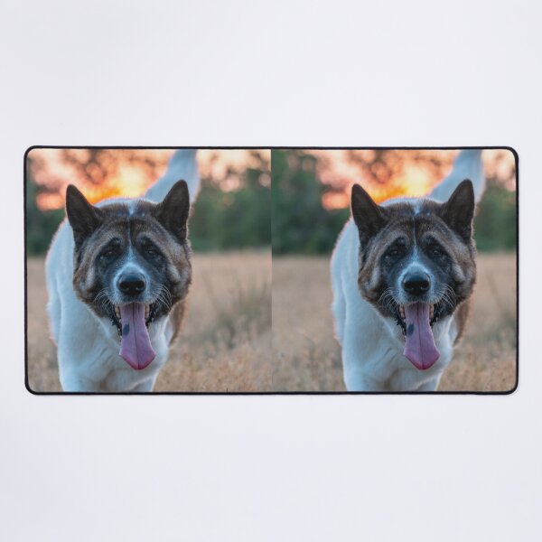 Item preview, Portrait of a Brindle and White Akita Dog designed and sold by VanGaldo.