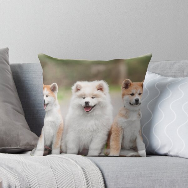 Item preview, Three Japanese Akita Inu Puppies Sitting Together designed and sold by VanGaldo.