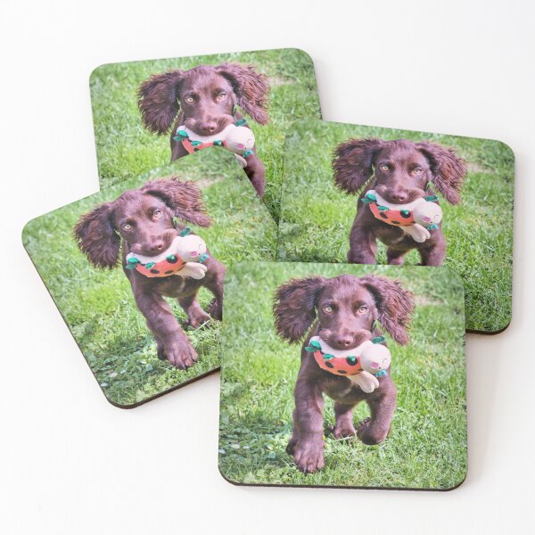 Item preview, Playful Otis designed and sold by JEZ22.