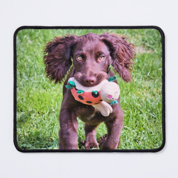 Item preview, Playful Otis designed and sold by JEZ22.