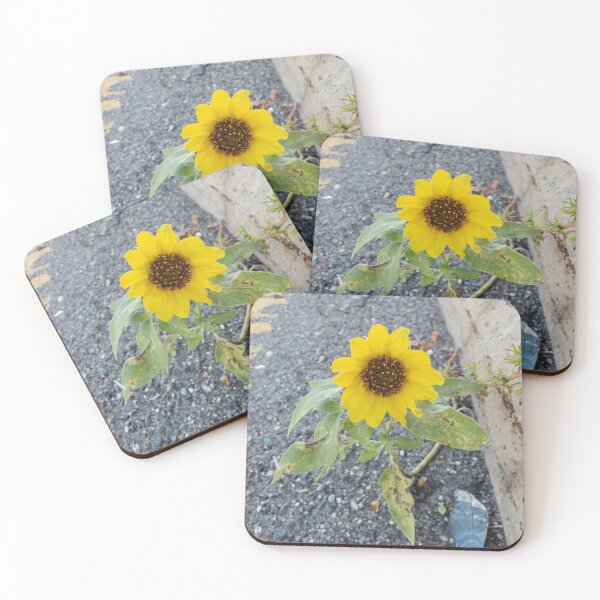 Item preview, Tiny Fallen Sunflower in the Middle of the Highway designed and sold by concretebotany.