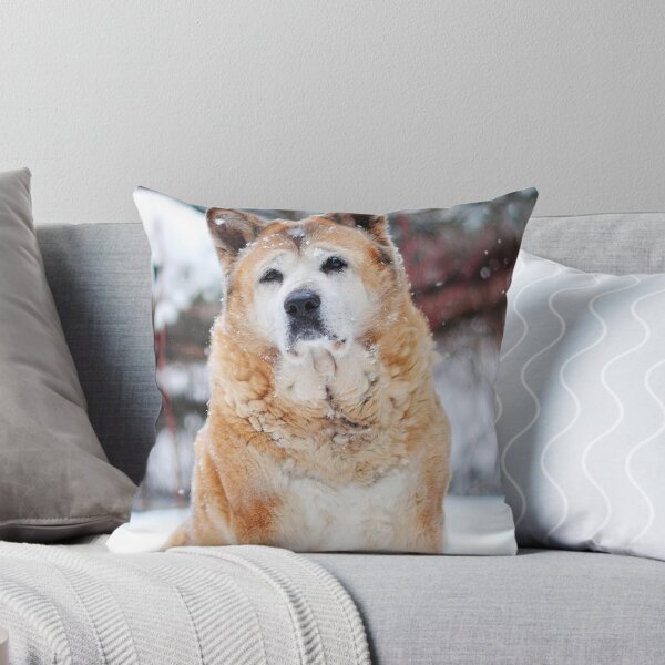Item preview, Senior Japanese Akita Inu Sitting Outdoors in Winter designed and sold by VanGaldo.