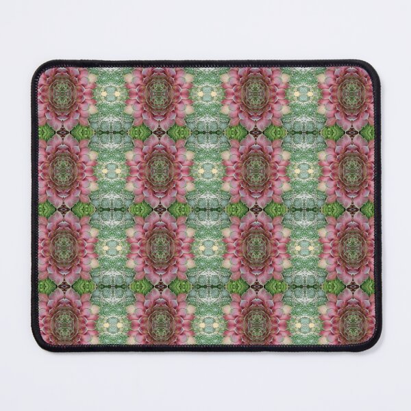 Item preview, Soft and calm succulents, photo pattern designed and sold by lyloubeaupere.