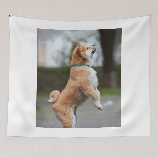 Item preview, Portrait of Akita Puppy Standing on Hind Legs designed and sold by VanGaldo.