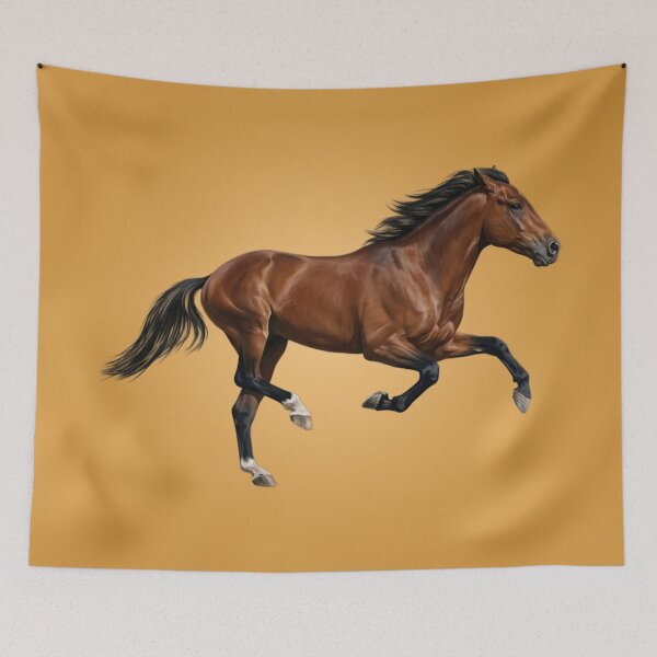 Item preview, The Afghan horse, a breed originating from Afghanistan designed and sold by Cheval-de-coeur.