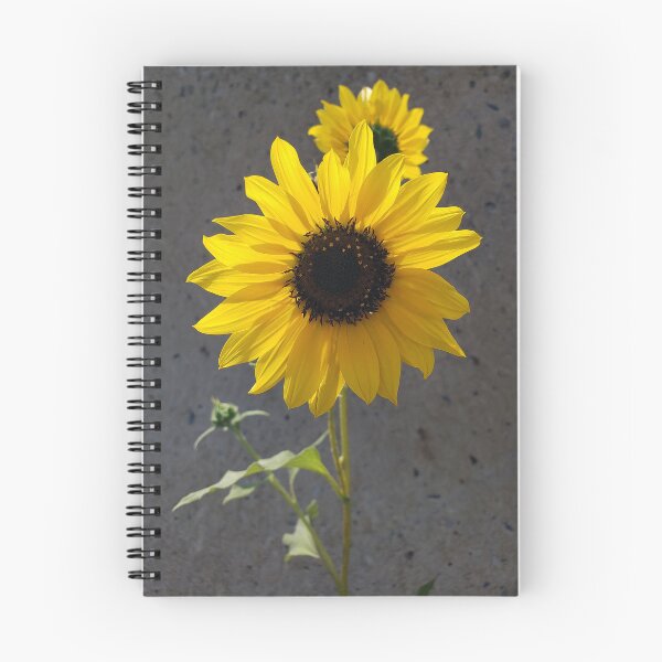 Item preview, Backlit Sunflower Against Concrete designed and sold by concretebotany.
