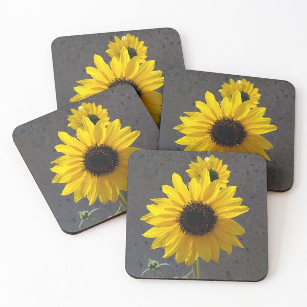 Item preview, Backlit Sunflower Against Concrete designed and sold by concretebotany.