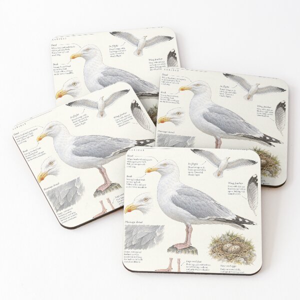 Item preview, Seagull Herring Gull Botanical Poster designed and sold by KALEIDOSCOPE UK.